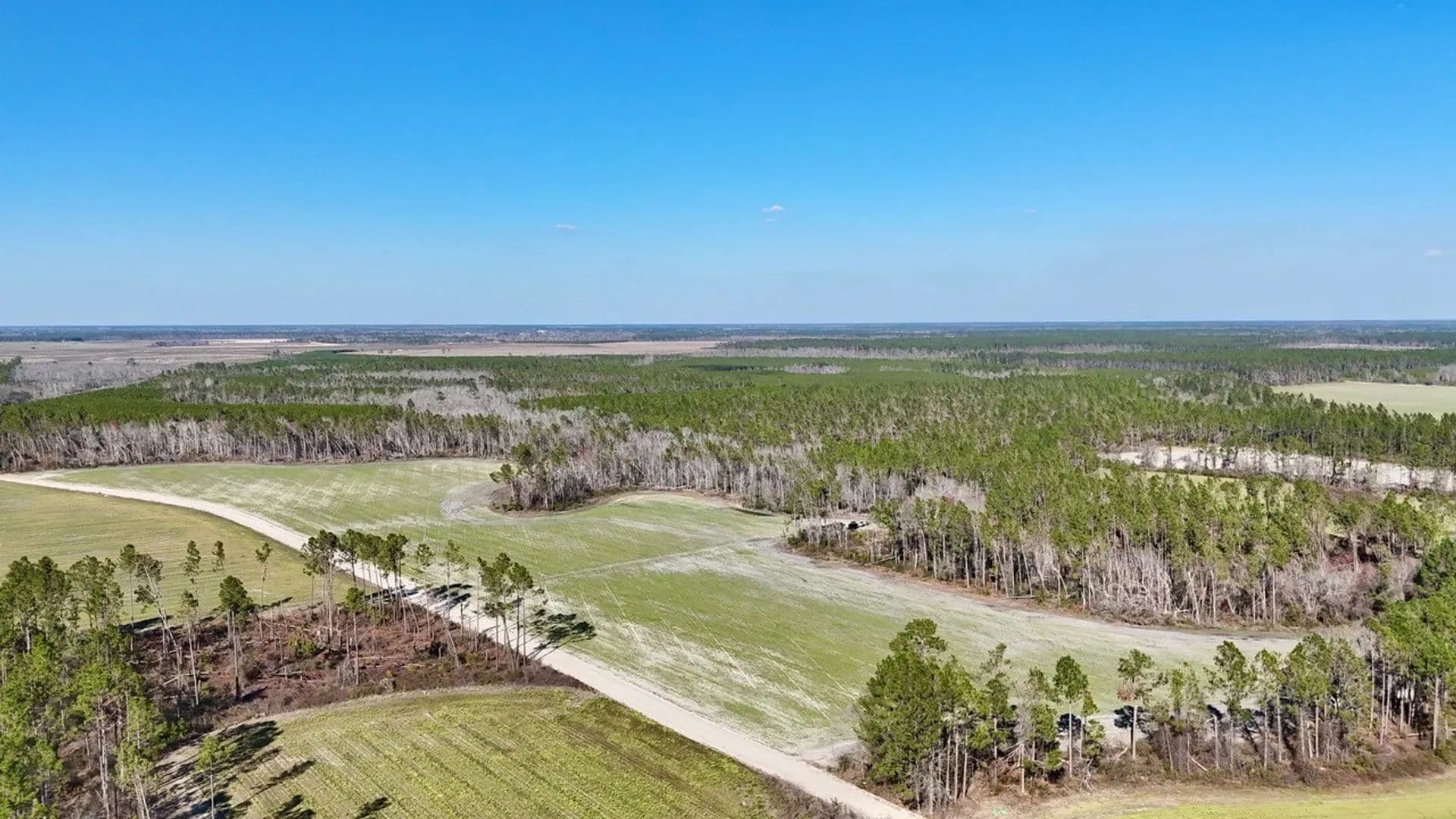 97.63 Acres in Hazlehurst GA - Hazlehurst, Georgia, 31539