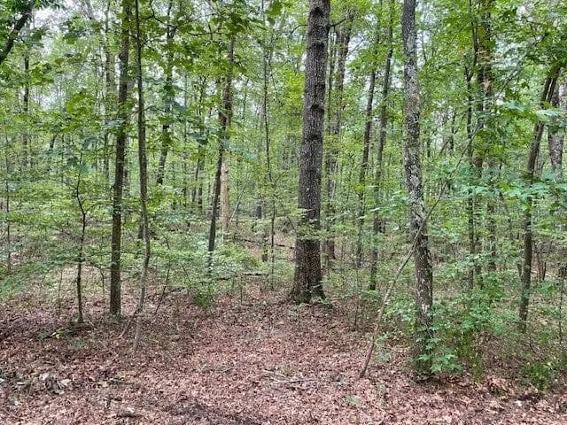 Lots & Land-Other in Monteagle