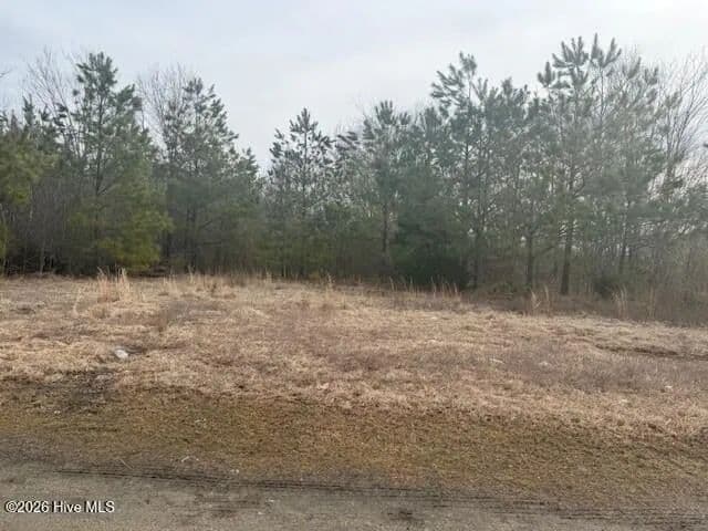 Lots & Land-Other in Woodland - Woodland, North Carolina, 27897