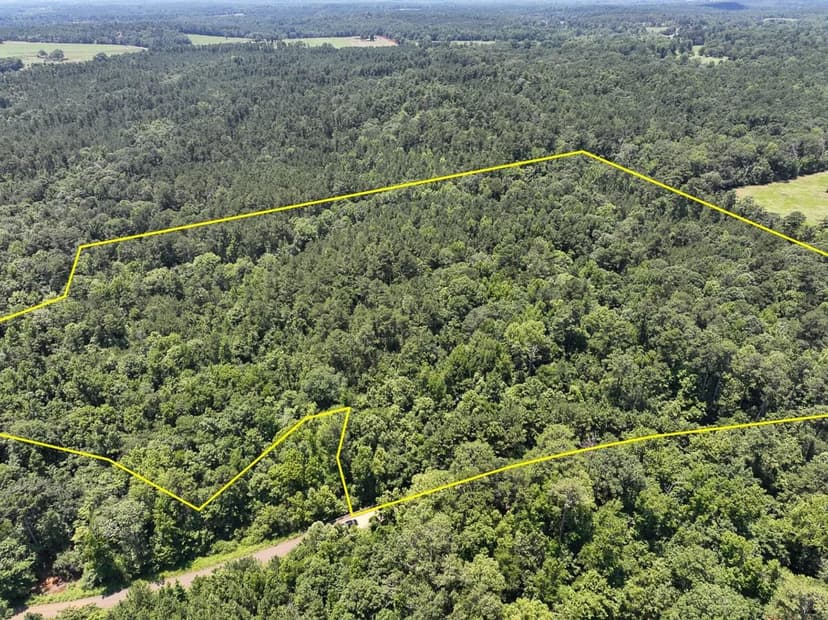 28 Acres | T-2 | Lick Skillet Road | 1019