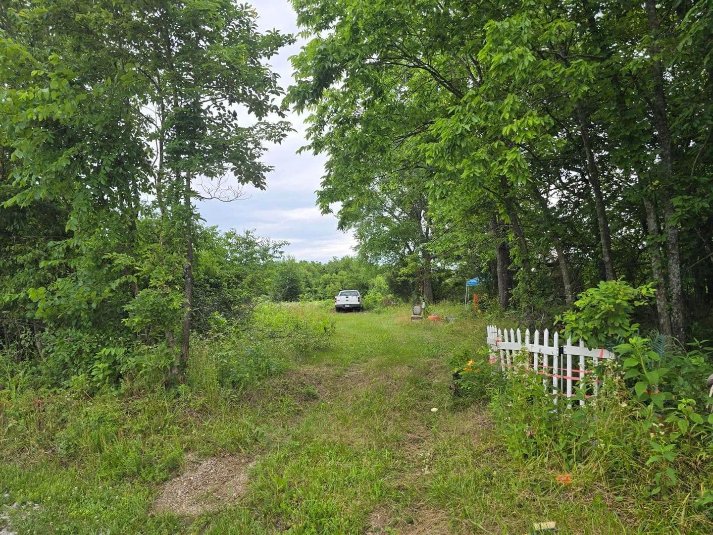 4.79 Acres of Land for Sale in Pierce City, MO - Pierce City, Missouri, 65723