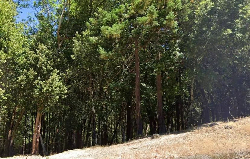 Lots & Land-Other in Willits