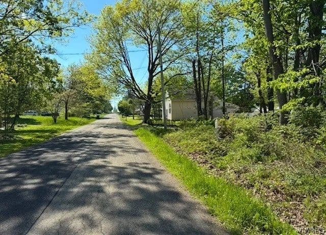 Lots & Land-Other in Angola - Angola, New York, 14006
