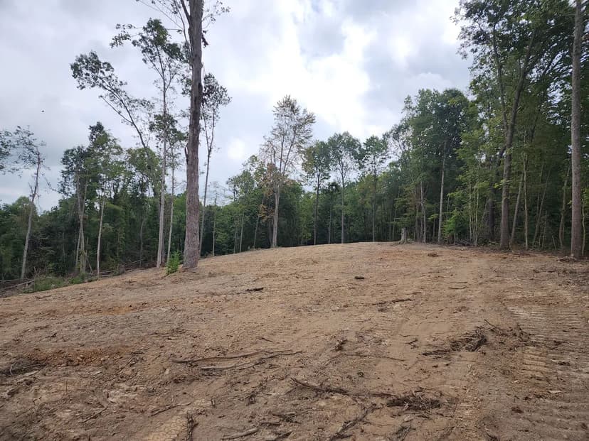 Land -Single Family Acreage in Cecilia