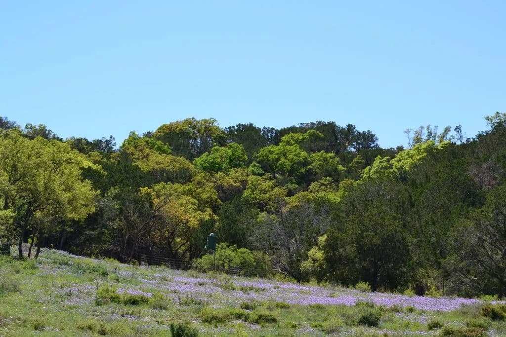 113.61 Acres of Land for Sale in Junction, Texas - Junction, Texas, 76849