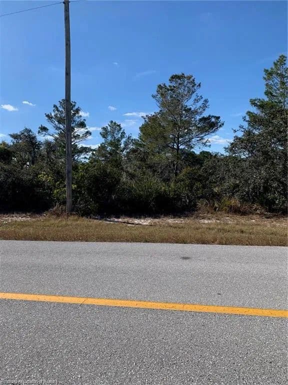 Vacant Land in Lake Placid - Lake Placid, Florida, 33852