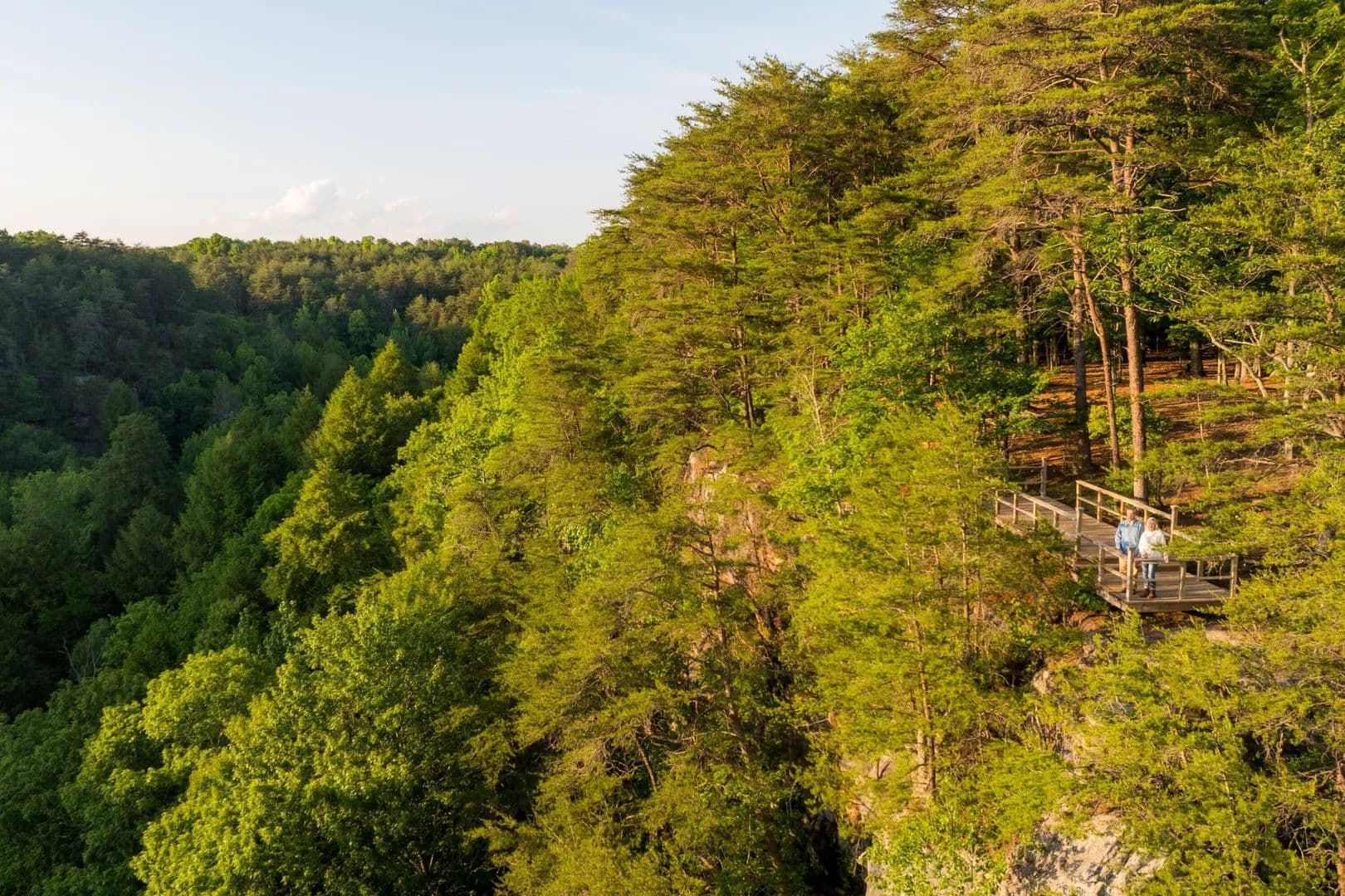 65 Acres of Land for Sale in Sequatchie, Tennessee - Sequatchie, Tennessee, 37374