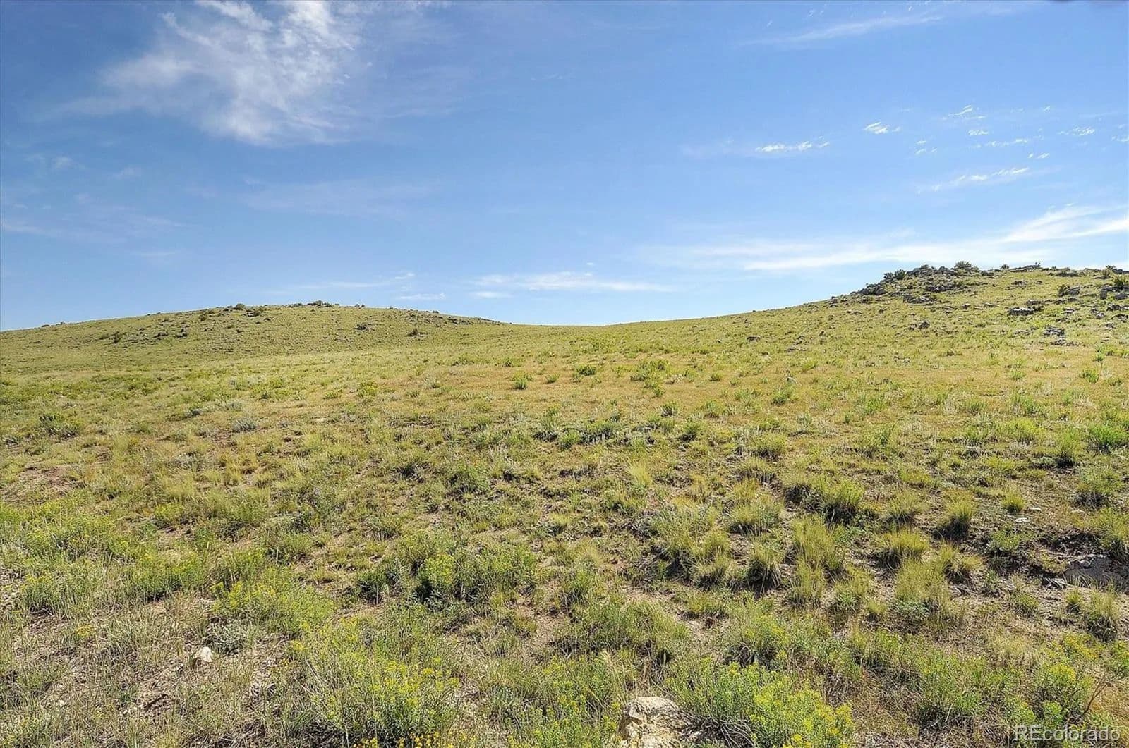 Lots & Land-Other in Hartsel - Hartsel, Colorado, 80449