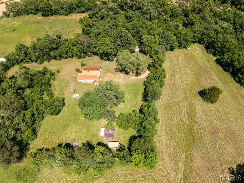 41.36 Acres of Land for Sale in Davisville, MO - land for sale