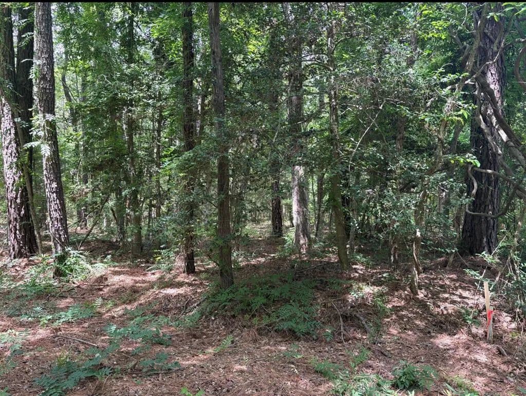 0.1 Acres of Land for Sale in HAGUE, VA - Hague, Virginia, 22469