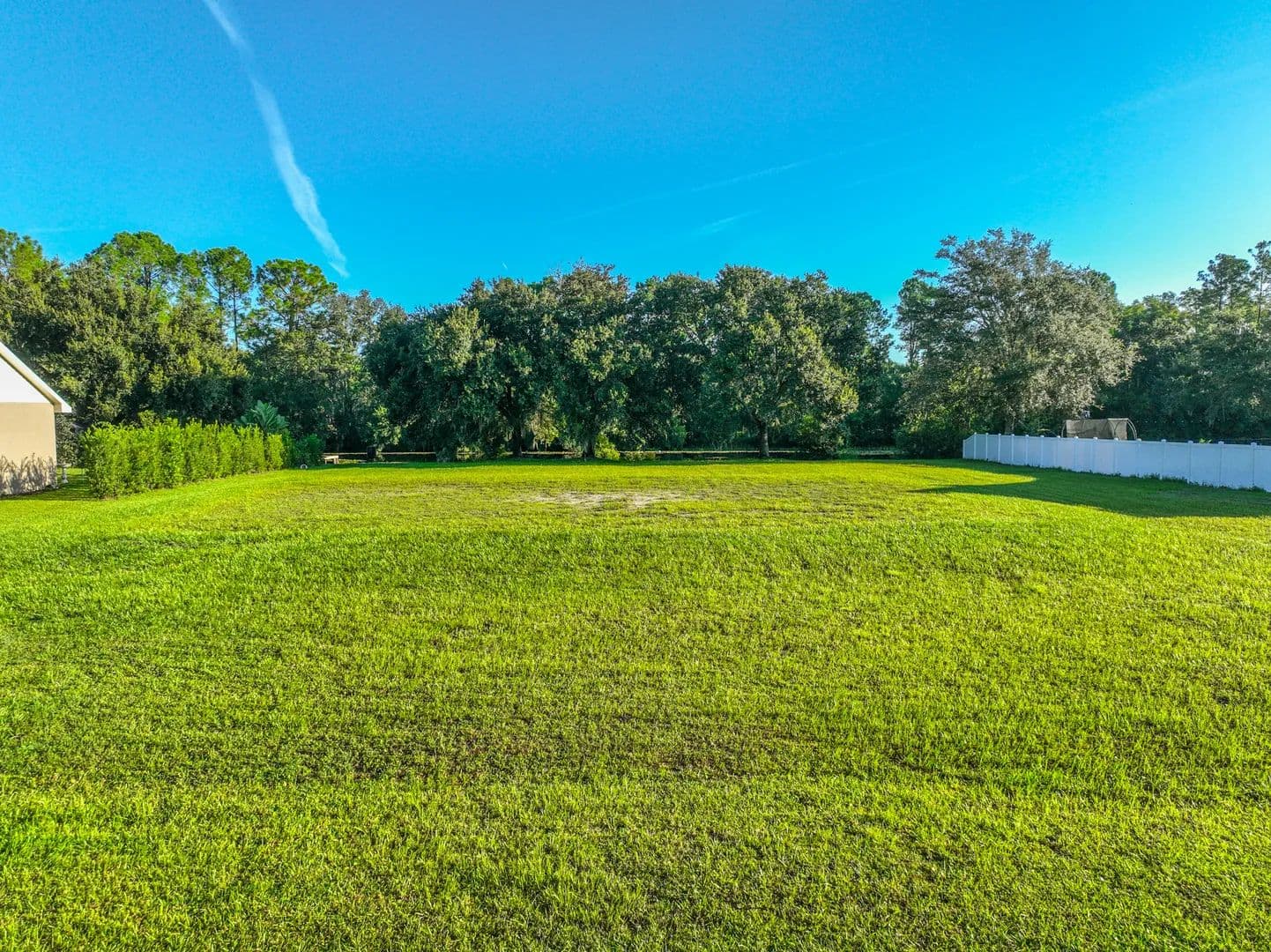 Vacant Land in Odessa - Odessa, Florida, 33556