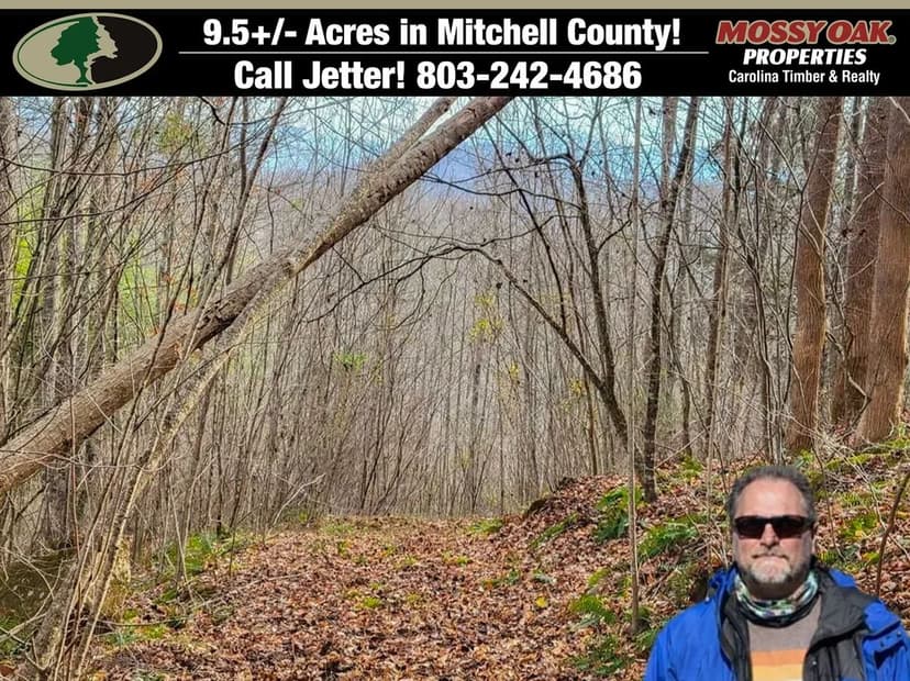 9.5 +/- acres Mitchell NC