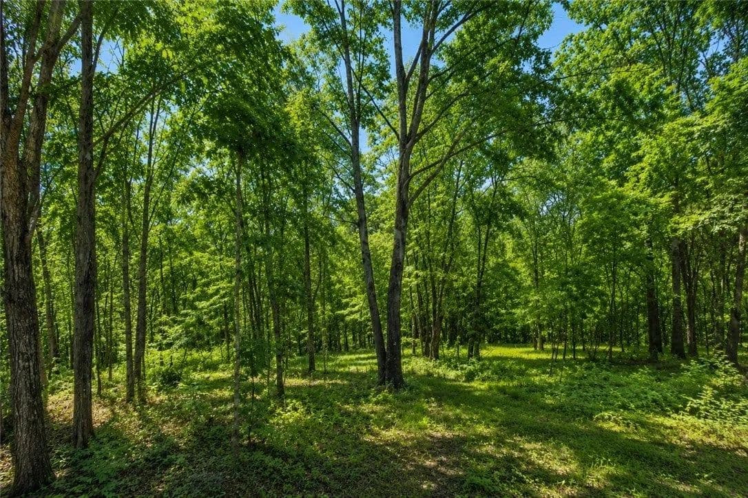 Lots & Land-Other in Bella Vista - Bella Vista, Arkansas, 72715