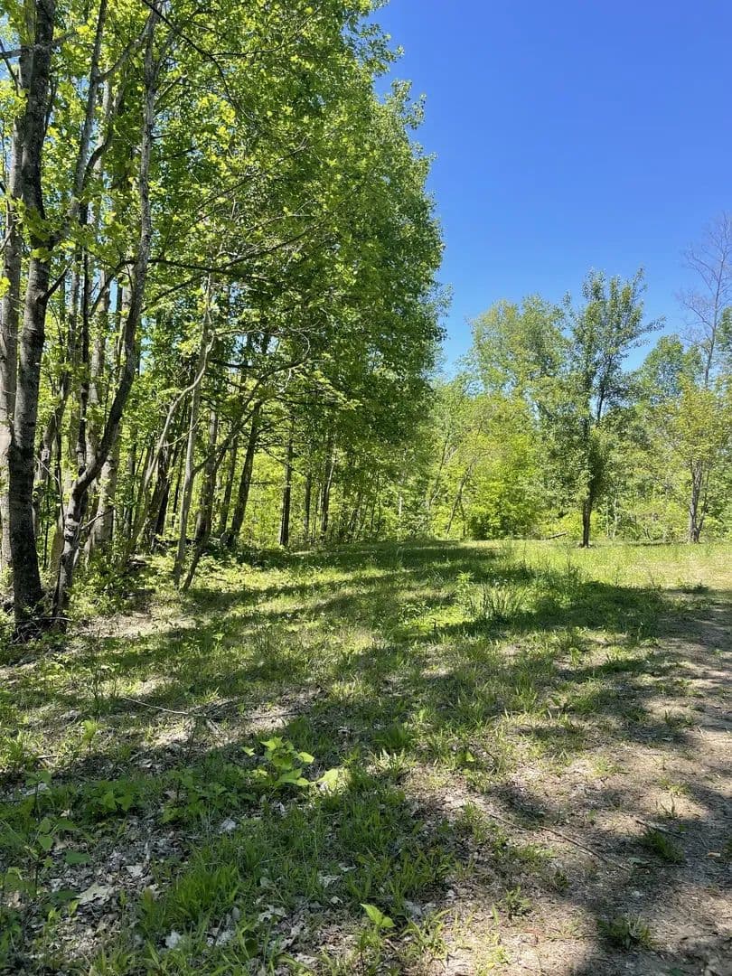 Lots & Land-Other in Lafayette - Lafayette, Tennessee, 37083