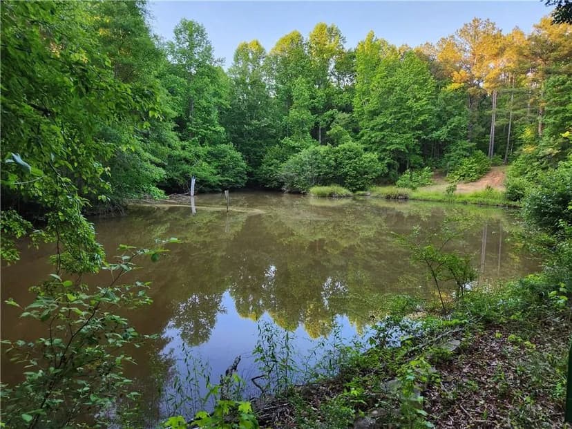 Vacant Land in Locust Grove
