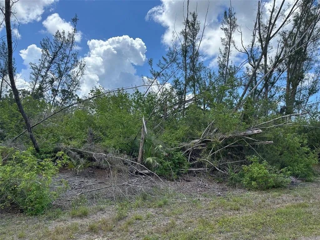 Vacant Land in Port Charlotte - Port Charlotte, Florida, 33981
