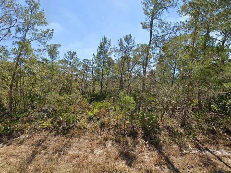 Lots & Land-Other in LAKE PLACID - Lake Placid, Florida, 33852