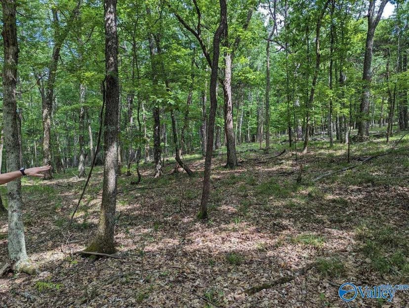 Property from 40 Acres Berry Road - KW