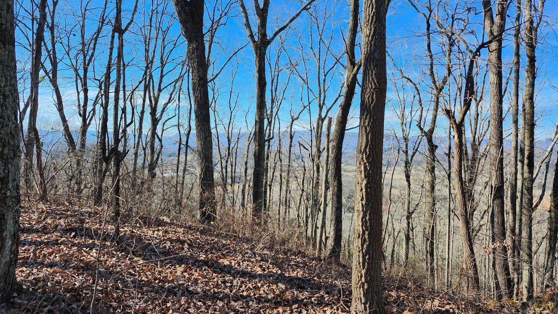 Vacant Land in Jasper - Jasper, Tennessee, 37347