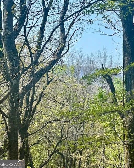 Vacant Land in Dawsonville