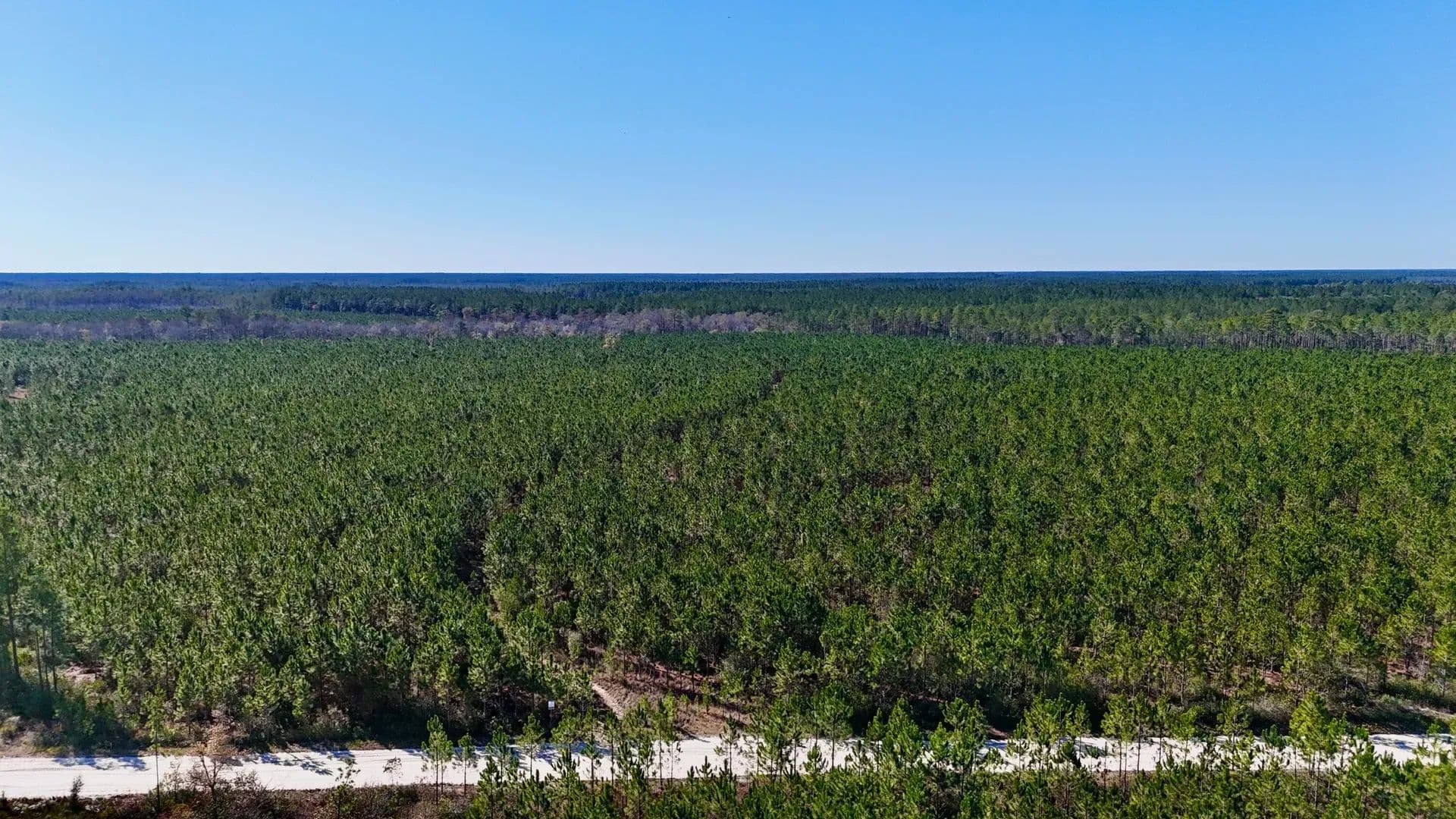 28 Acres of Land for Sale in Odum, GA - Odum, Georgia, 31555