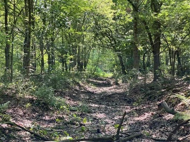 Lots & Land-Other in St Bernard - Louisiana, 70085