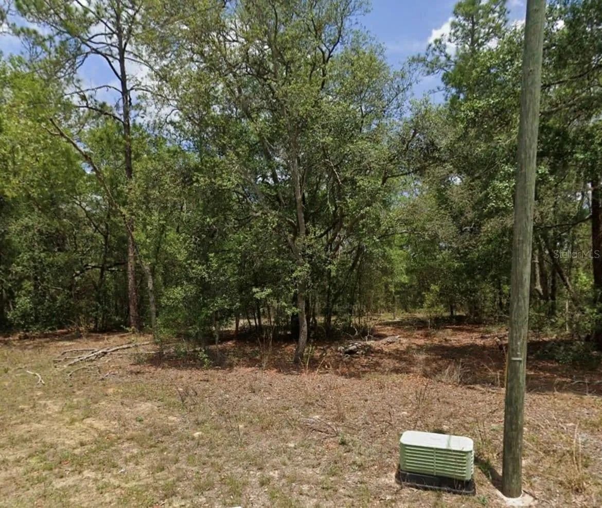 Lots & Land-Other in CITRUS SPRINGS - Citrus Springs, Florida, 34434
