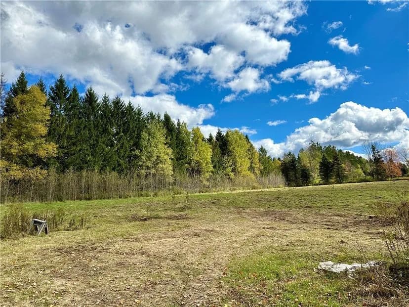Land -Single Family Acreage in Meredith