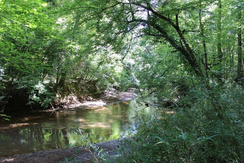 1+ Mile Creek Frontage - Flovilla, Georgia, 30216