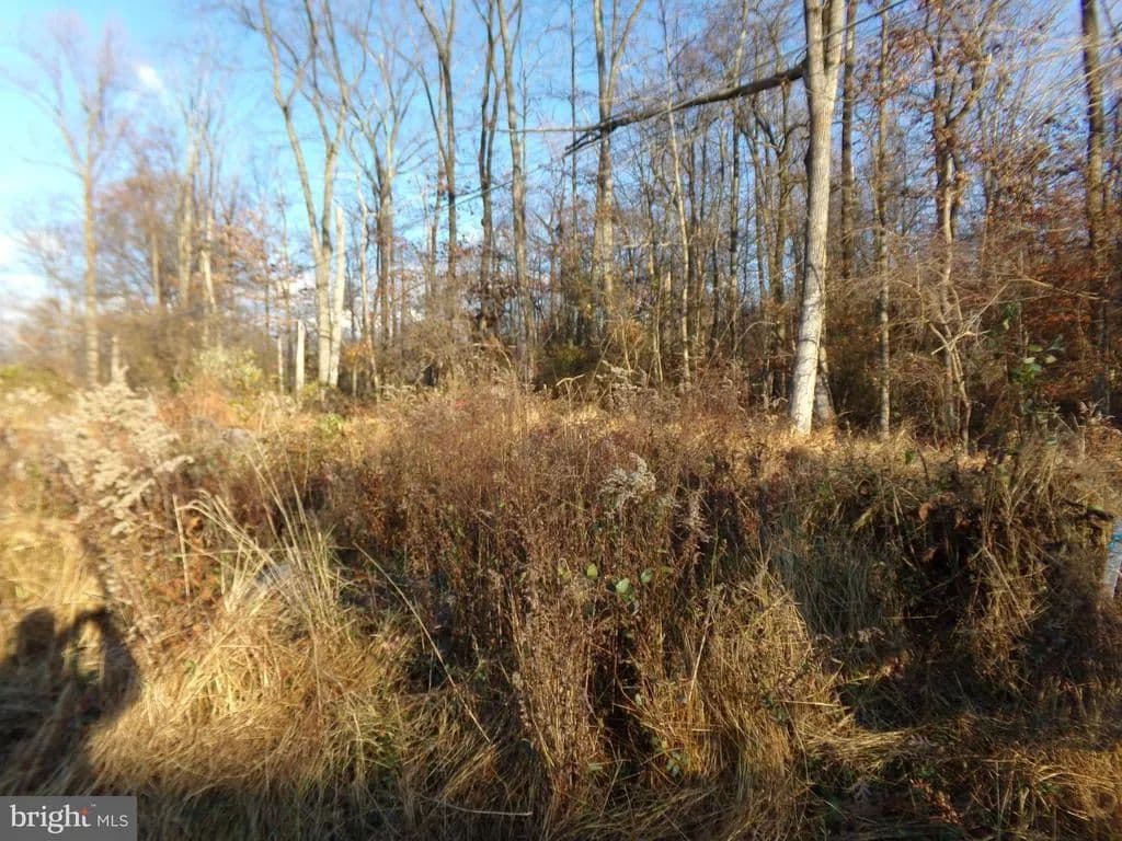 Vacant Land in Ferndale - Ferndale, Pennsylvania, 18921