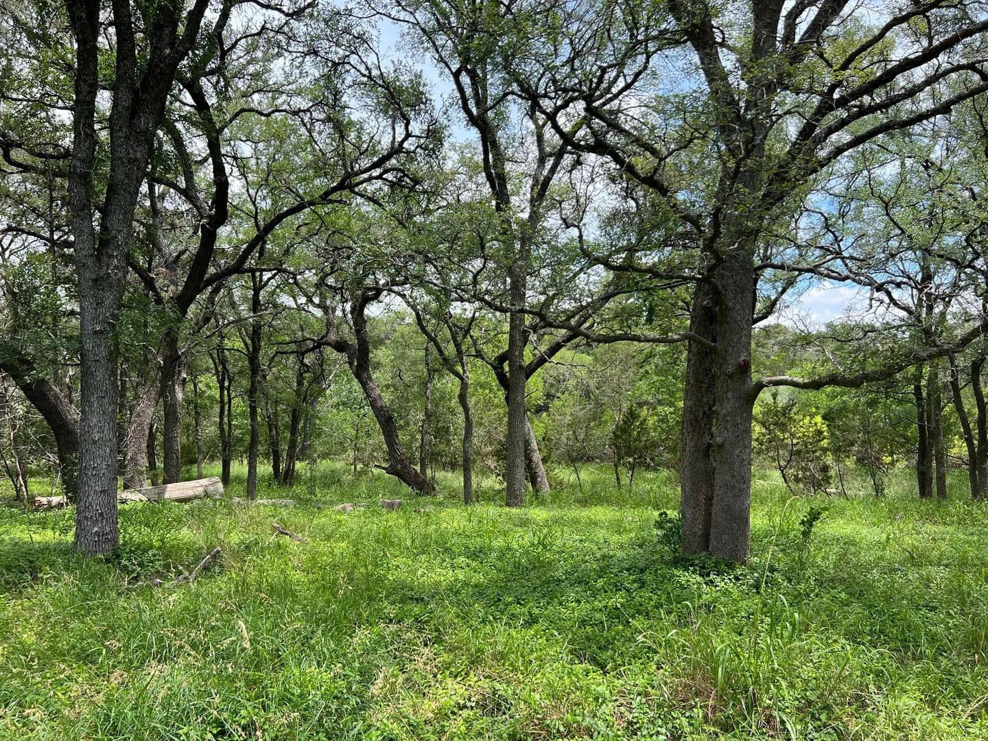 2.68 Acres of Land for Sale in Blanco, Texas - Blanco, Texas, 78606