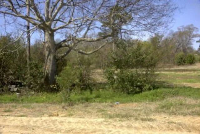 Lots & Land-Other in Sumter