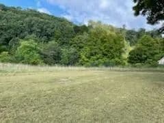 Lots & Land-Other in Ballard - Ballard, West Virginia, 24918