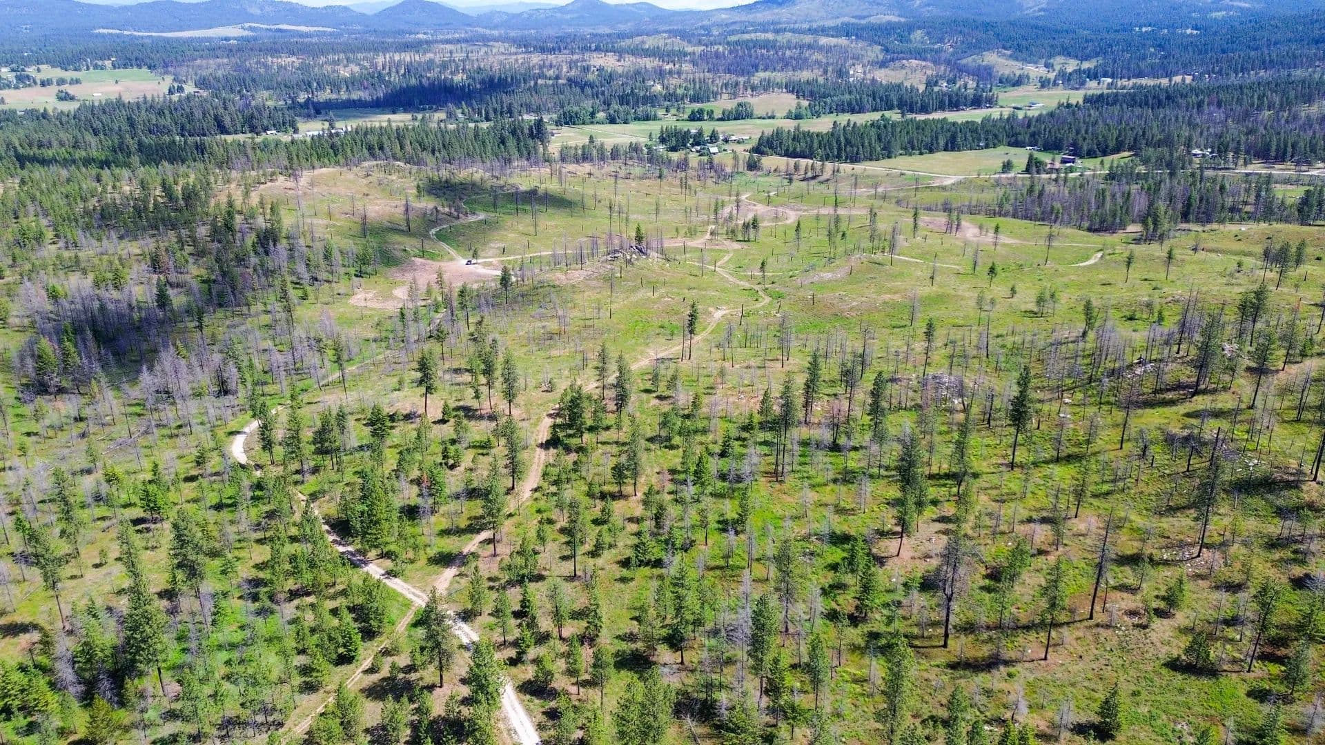 Vacant Land (10+ Acres) in Elk - Elk, Washington, 99009