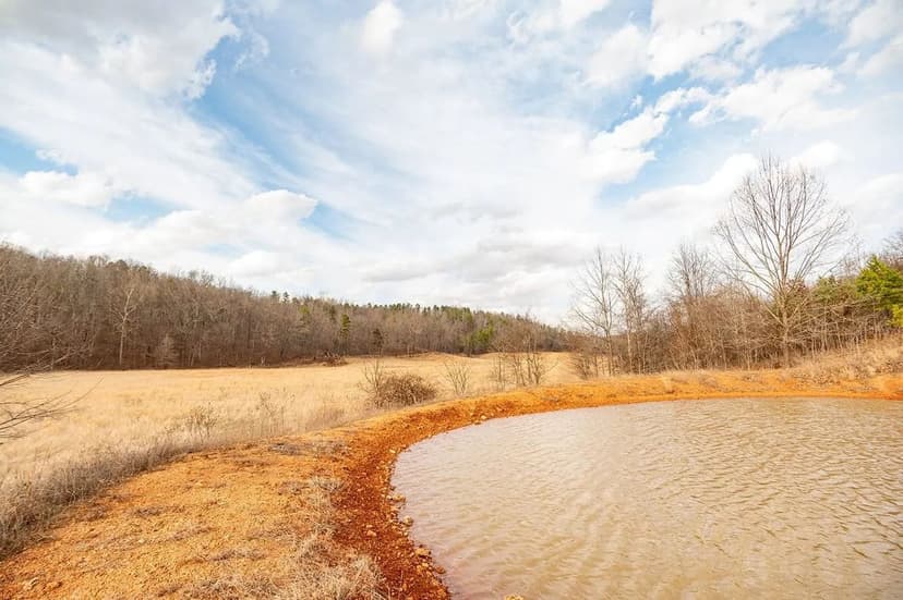 Expansive 158+/- AC For Sale in Wayne Co.