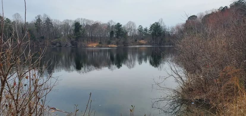 +/-75.92ac - 650 Farmers Market Rd Biscoe NC - Montgomery Co