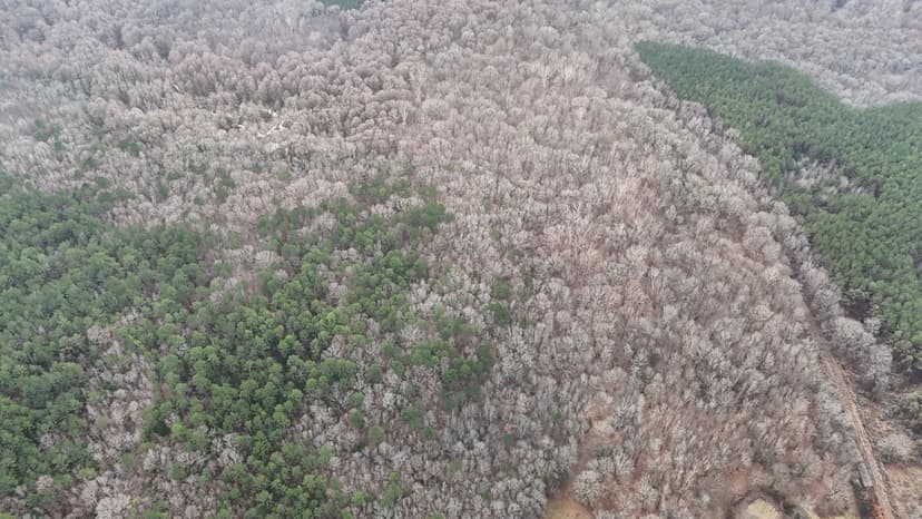 50 Acres in Lafayette County, MS 