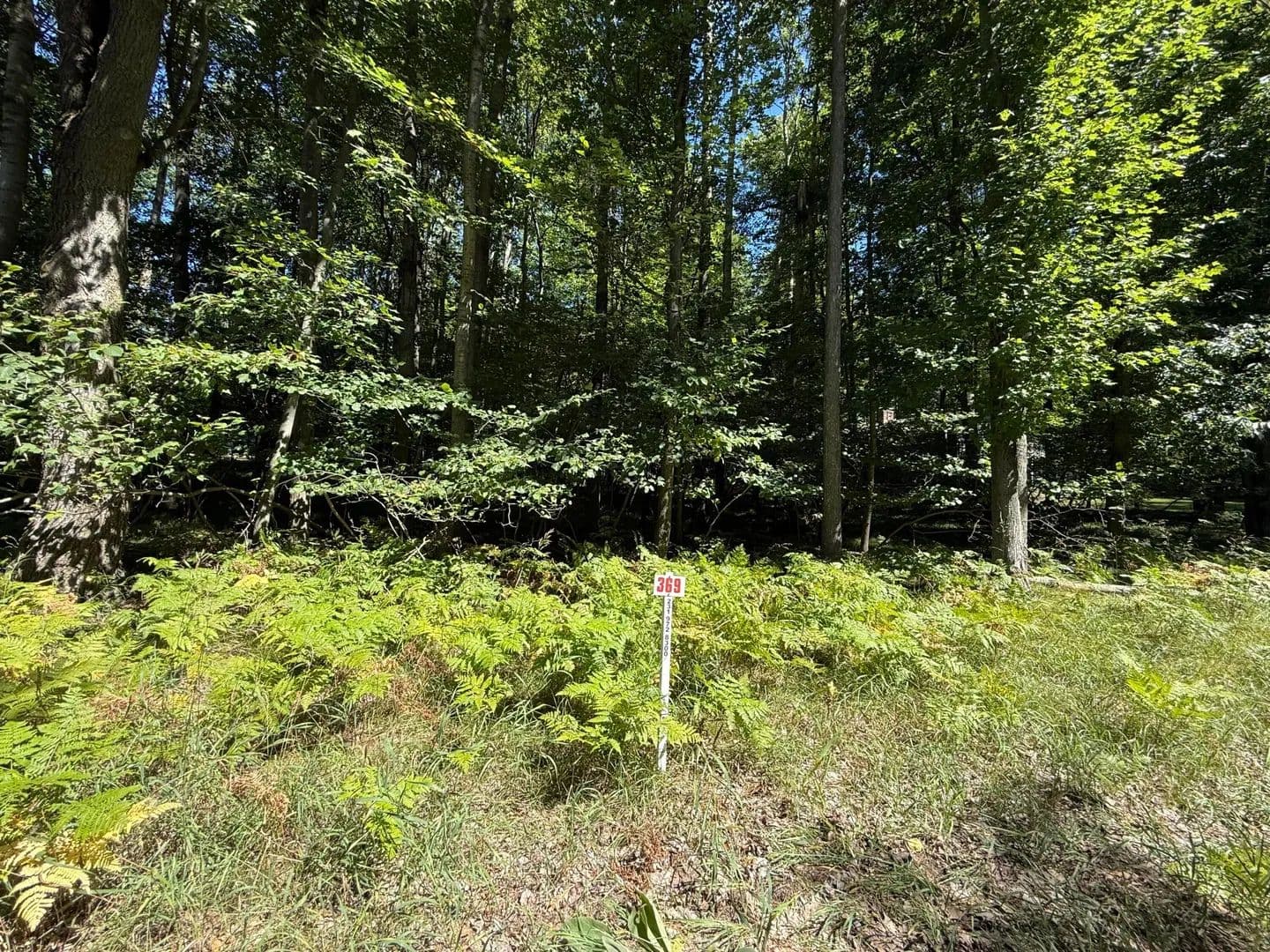 Lots & Land-Other in Stanwood - Stanwood, Michigan, 49346