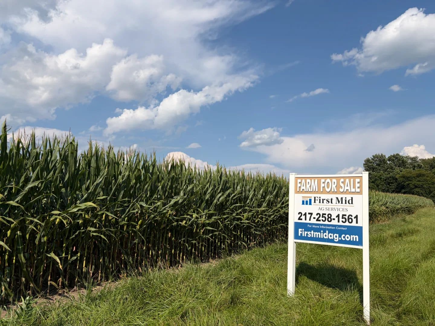 The Turney Farm | 235.86 +/- Acres | Shelby County, IL  - Shelbyville, Illinois, 62565