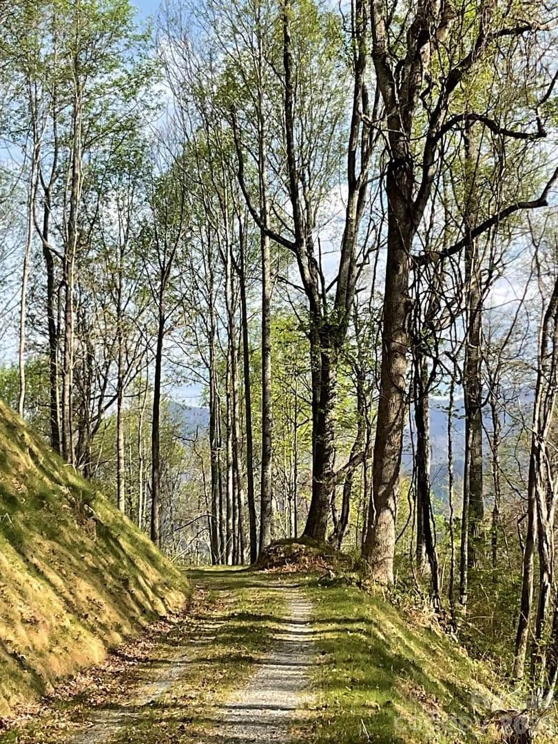 Lots & Land-Other in Swannanoa - Swannanoa, North Carolina, 28778