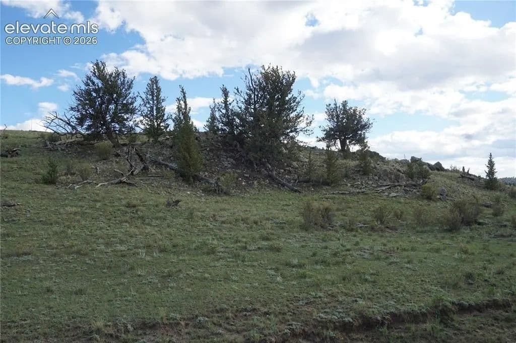 Lots & Land-Other in Hartsel - Hartsel, Colorado, 80449