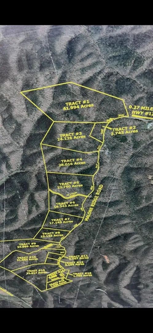 Land -Agricultural (Not Zoned) in Albany - Albany, Kentucky, 42602