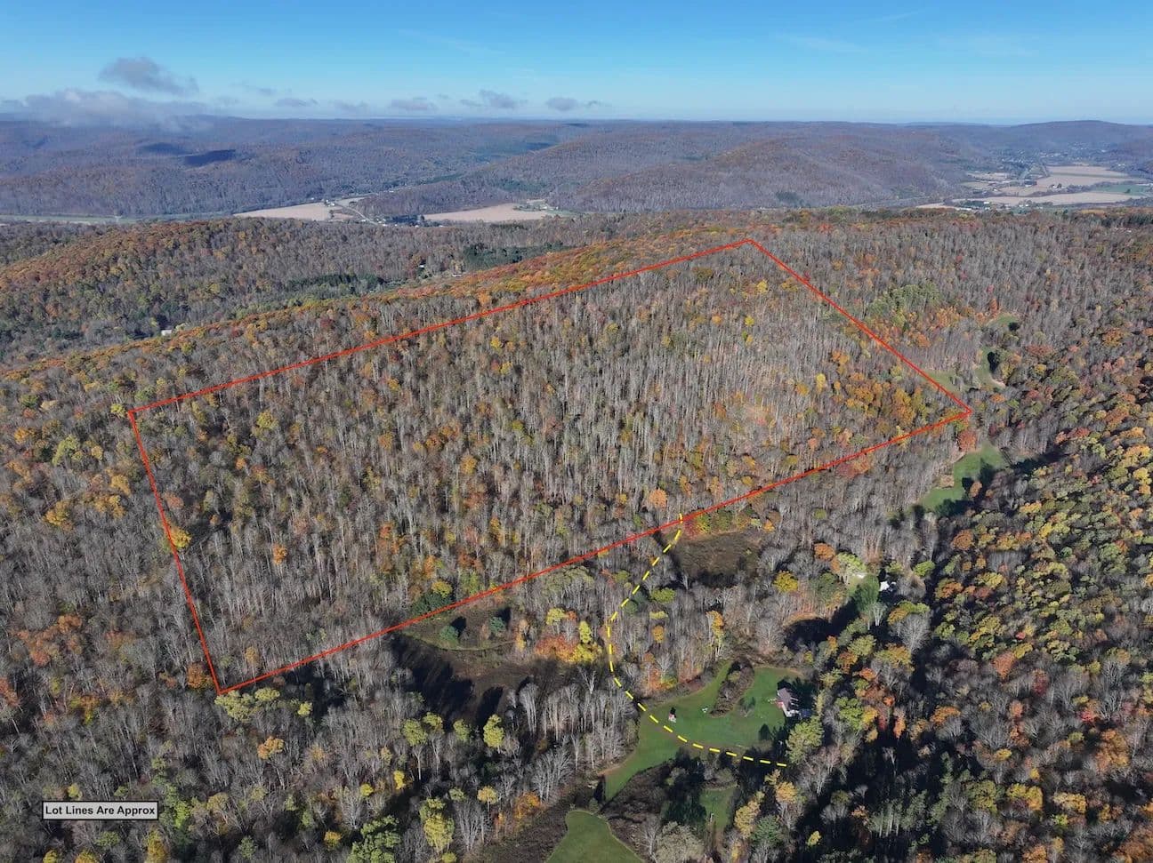 60 acres Wooded Hunting Land and Recreational Land in Great Valley NY Flint Hollow Rd - Great Valley, New York, 14741