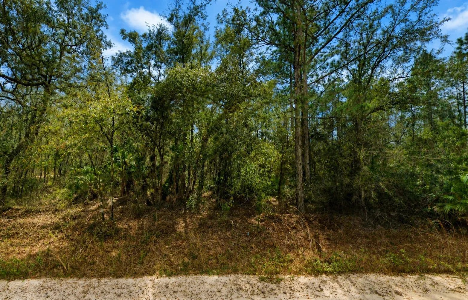Affordable .22-Acre Florida Lot Near Lakes – Owner Financing Available - Interlachen, Florida, 32148