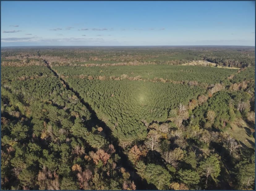 38 Acres (Lot 2) in Madison County in Canton, MS