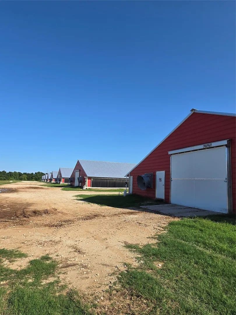 119.81 Acres of Land for Sale in Groesbeck, Texas - Groesbeck, Texas, 76642