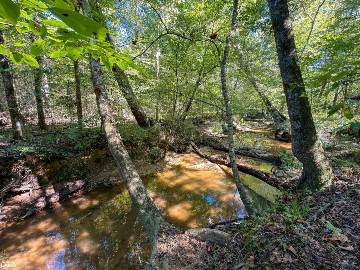 Sandy Branch Hunting & Recreational Tract near Clanton - Clanton, Alabama, 35045