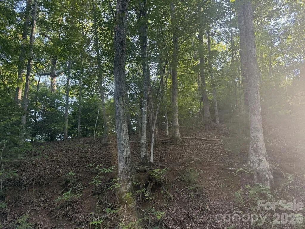 0.8 Acres of Land for Sale in Cullowhee, NC - Cullowhee, North Carolina, 28723