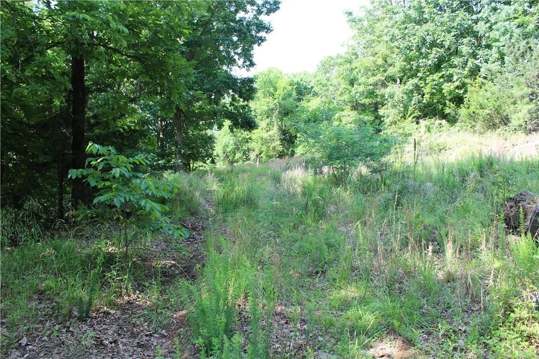 Property from Blue Mountain Rd - KW - Prairie Grove, Arkansas, 72753