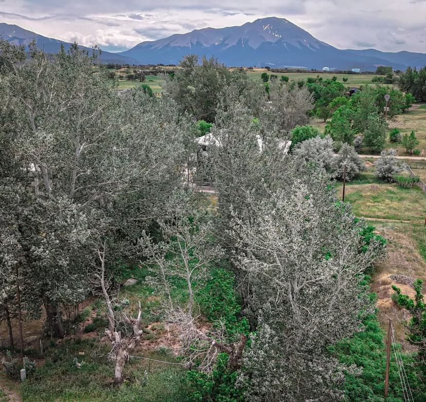 300 E Virginia Ave, LaVeta, CO 81055